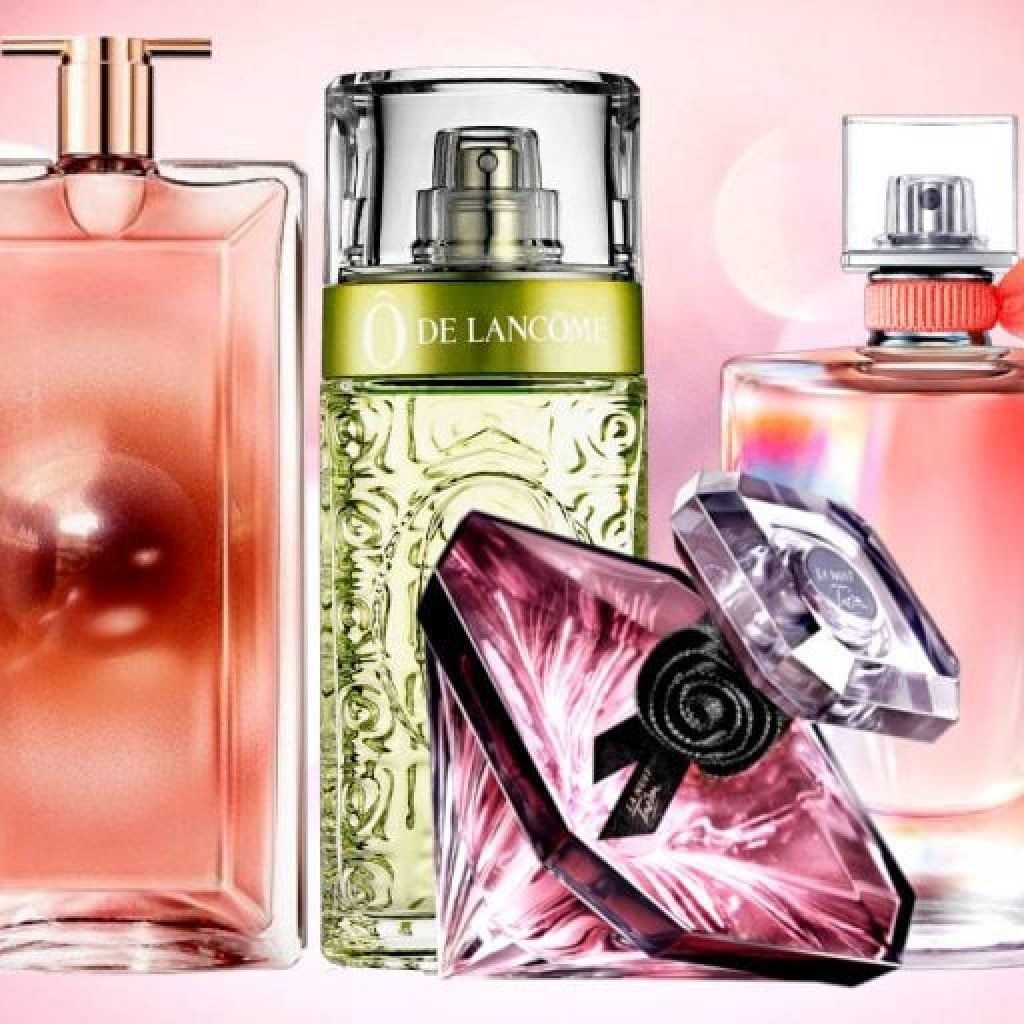 Top Perfume Brand Reviews